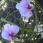 Centre de table lumineux fleuri