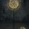 big-cassiopee-et-cassiopee-classic-novolux.jpg