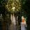 big-cassiopee-ruinart-2-novolux.jpg