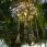 big-cassiopee-ruinart-novolux.jpg