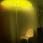sunshade-jaune-novolux.jpg